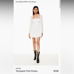 Aritizia Wilfred Tempest Mini Dress